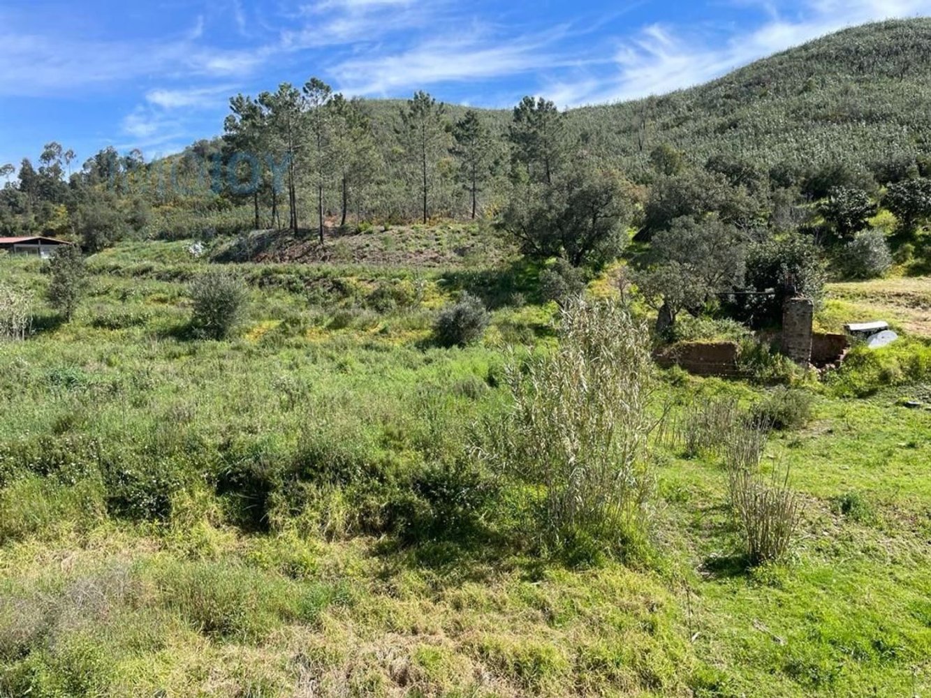 23970m² Land in Mexilhoeira Grande, Portugal No. 82000
