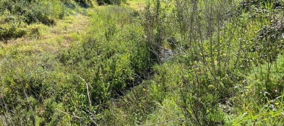 23970m² Land in Mexilhoeira Grande, Portugal No. 82000 12