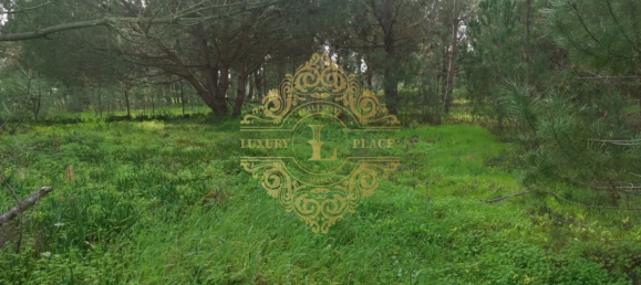 Grundstück in Sesimbra, Portugal 1m², Nr. 145913 5