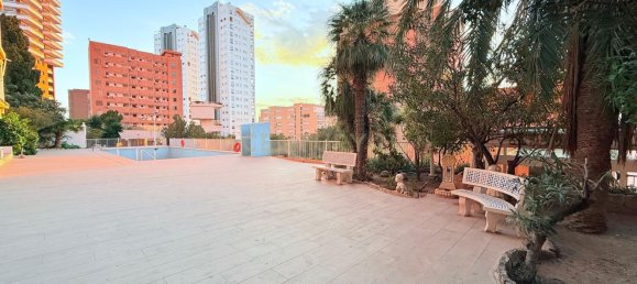 1 chambre Appartement à Benidorm, Spain No. 77708 17
