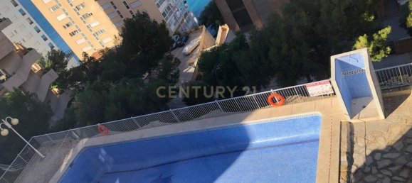 1 chambre Appartement à Benidorm, Spain No. 77708 4
