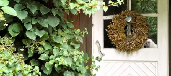 1 bedroom House in Minden-Lubbecke, Germany No. 210628 2