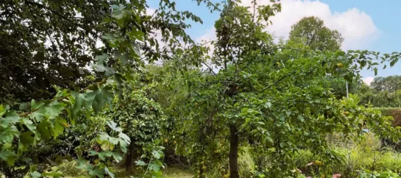 1 bedroom House in Minden-Lubbecke, Germany No. 210628 3