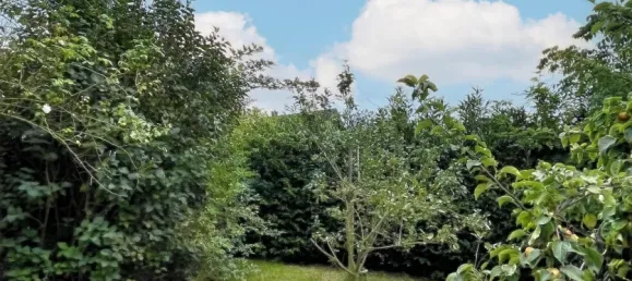 1 bedroom House in Minden-Lubbecke, Germany No. 210628 4