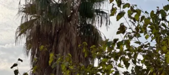 3 chambres Appartement à Valencia, Spain No. 118191 23