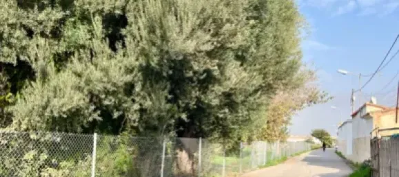 3 chambres Appartement à Valencia, Spain No. 118191 25