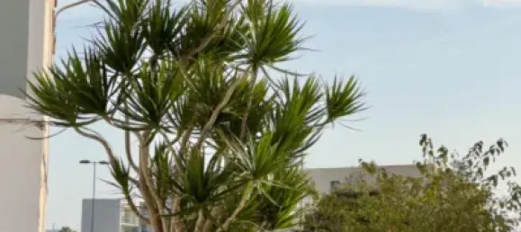 3 chambres Appartement à Valencia, Spain No. 118191 21