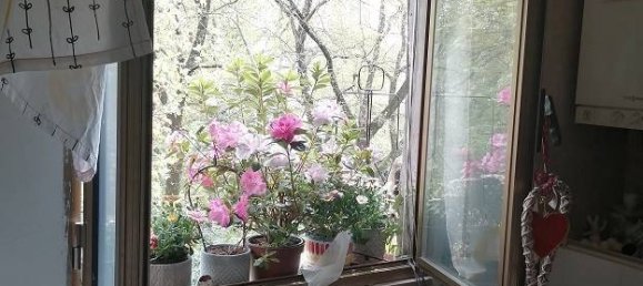 1 Schlafzimmer Wohnung in Parma, Italy, Nr. 278207 3