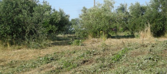 Terreno em Marino, Italy 4640 m² N.º 146464 11