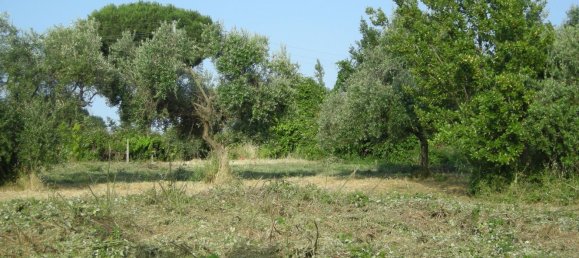 Terreno em Marino, Italy 4640 m² N.º 146464 5