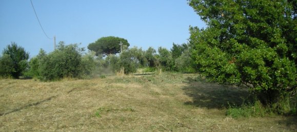 Terreno em Marino, Italy 4640 m² N.º 146464 7