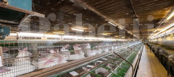 Almacén de 5 habitaciónes en Padua, Italy No. 289032 10