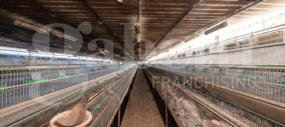 Almacén de 5 habitaciónes en Padua, Italy No. 289032 9