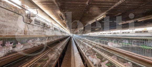 Almacén de 5 habitaciónes en Padua, Italy No. 289032 11