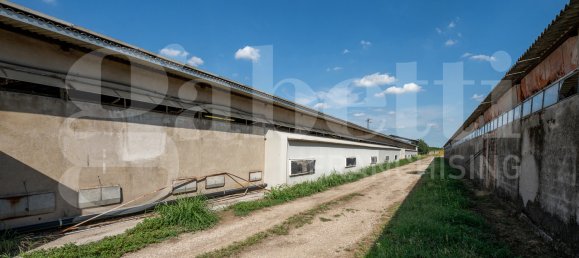 Almacén de 5 habitaciónes en Padua, Italy No. 289032 7