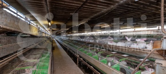 Almacén de 5 habitaciónes en Padua, Italy No. 289032 6