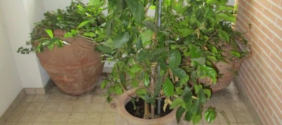 5 rooms Penthouse in Pesaro, Italy No. 126459 7