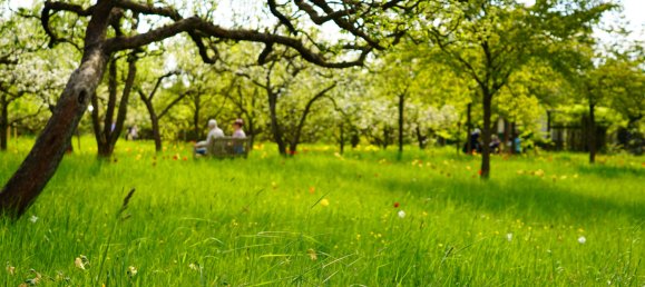 Таунхаус с 3 спальнями в Нойкёльн, Германия № 27622 36