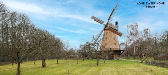 Таунхаус с 3 спальнями в Нойкёльн, Германия № 27622 33