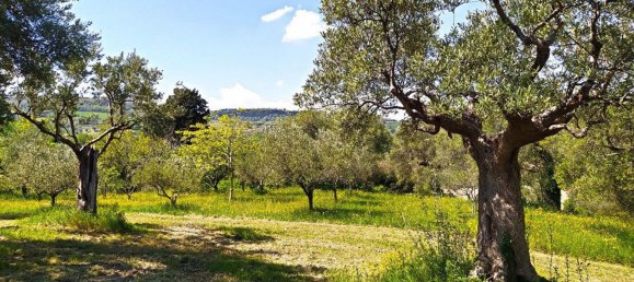 Grundstück in Cingoli, Italy 4810m², Nr. 156661 3