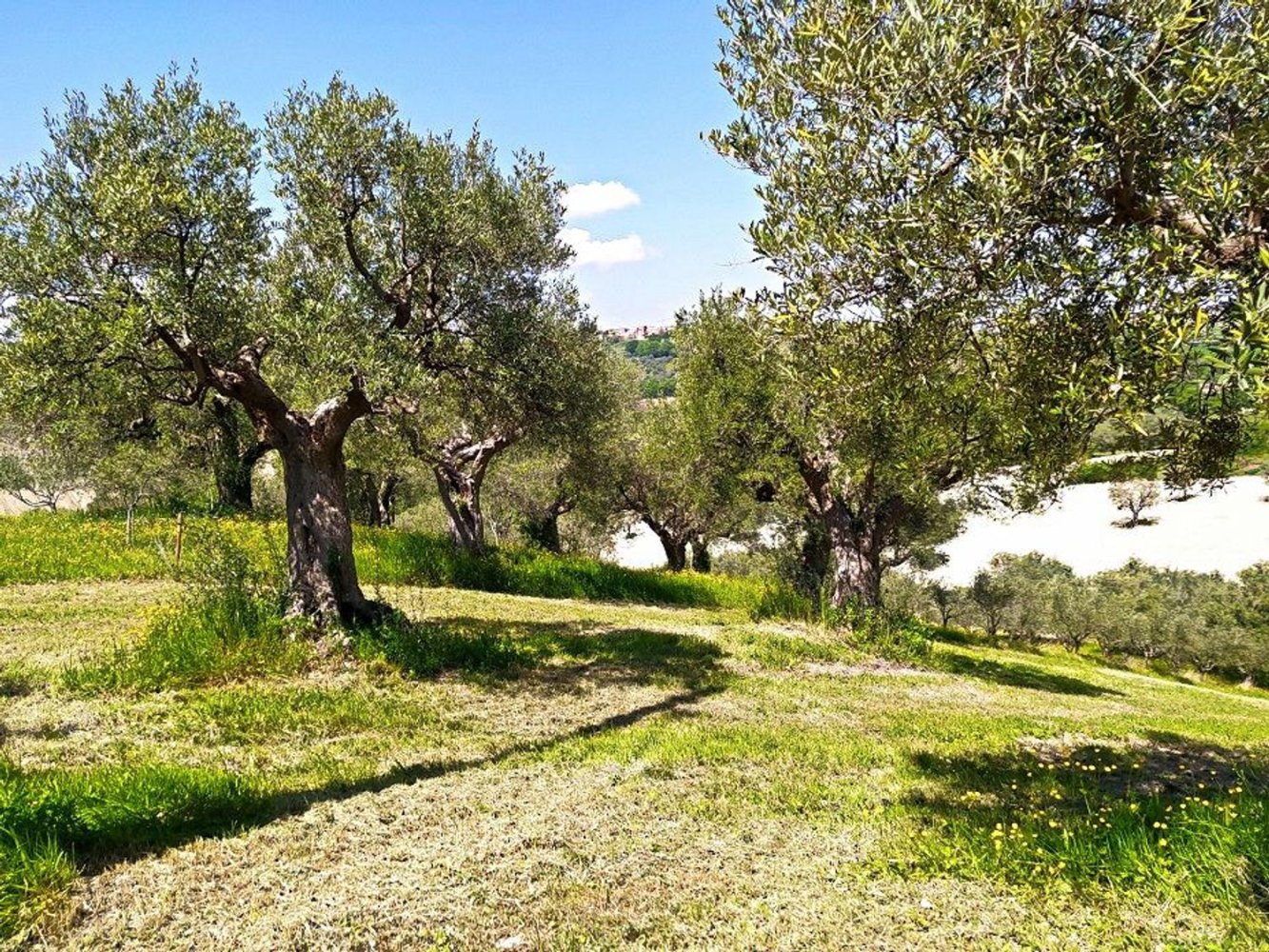 Grundstück in Cingoli, Italy 4810m², Nr. 156661