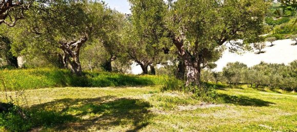 Grundstück in Cingoli, Italy 4810m², Nr. 156661 4