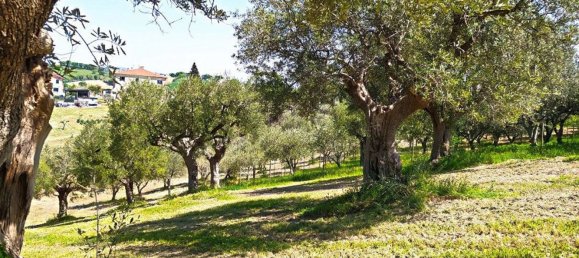 Grundstück in Cingoli, Italy 4810m², Nr. 156661 5