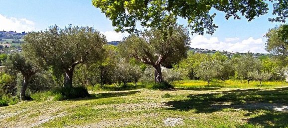 Grundstück in Cingoli, Italy 4810m², Nr. 156661 9