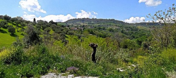 Grundstück in Cingoli, Italy 4810m², Nr. 156661 10