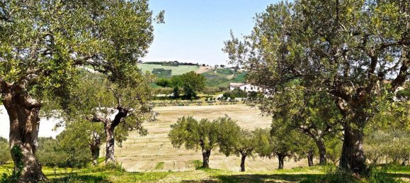 Grundstück in Cingoli, Italy 4810m², Nr. 156661 7