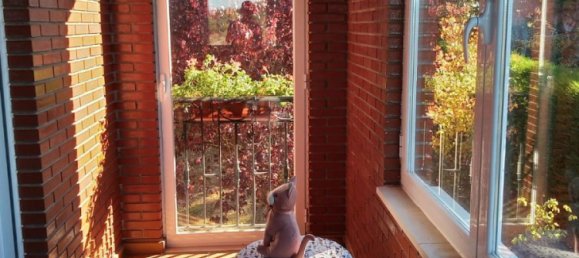 Casa de 3 dormitorios en Sariegos, Spain No. 28539 17