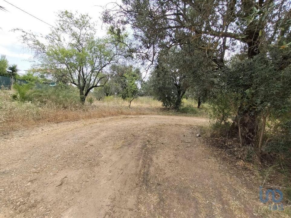 Terrain à Loule, Portugal 997m² No. 214295