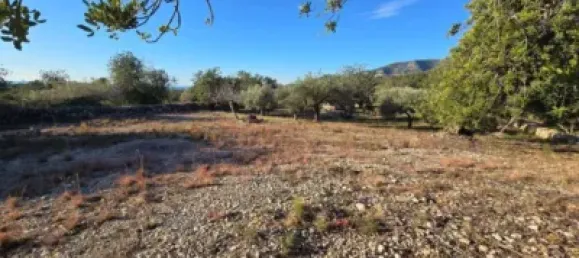 1 bedroom House in Alcanar, Spain No. 144760 27