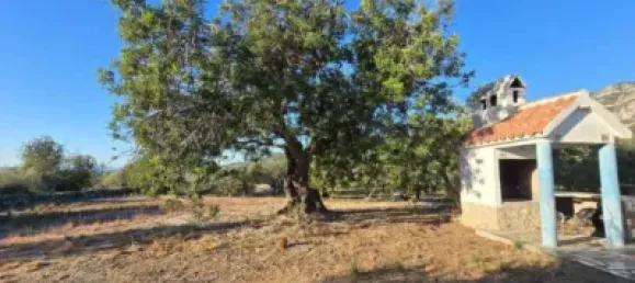 1 bedroom House in Alcanar, Spain No. 144760 26