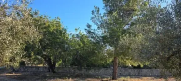 1 bedroom House in Alcanar, Spain No. 144760 25