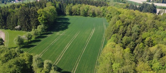  Land in St. Marienkirchen an der Polsenz, Austria No. 130693 2