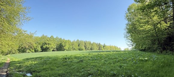  Land in St. Marienkirchen an der Polsenz, Austria No. 130693 3