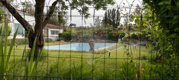 4 Schlafzimmer Haus in Torres Novas, Portugal, Nr. 162963 7