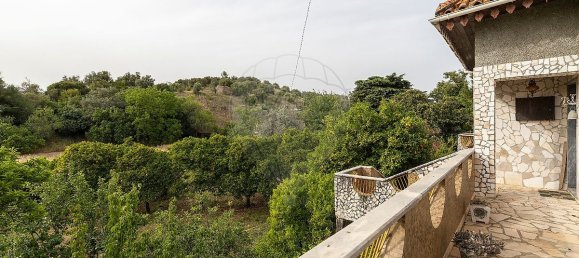 4 Schlafzimmer Haus in Torres Novas, Portugal, Nr. 162963 8