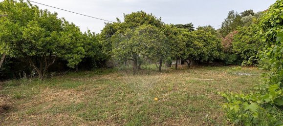 4 Schlafzimmer Haus in Torres Novas, Portugal, Nr. 162963 4