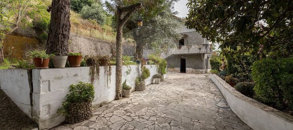 4 Schlafzimmer Haus in Torres Novas, Portugal, Nr. 162963 22