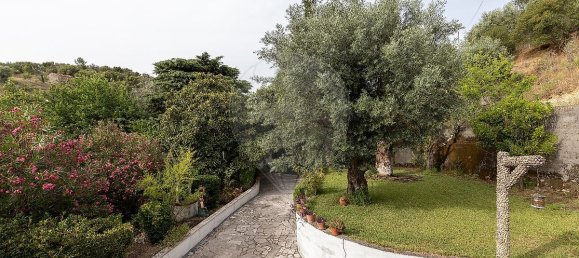 4 Schlafzimmer Haus in Torres Novas, Portugal, Nr. 162963 14