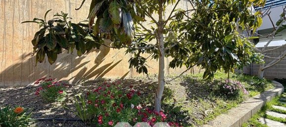 3 bedrooms House in El Penoncillo, Spain No. 111067 35