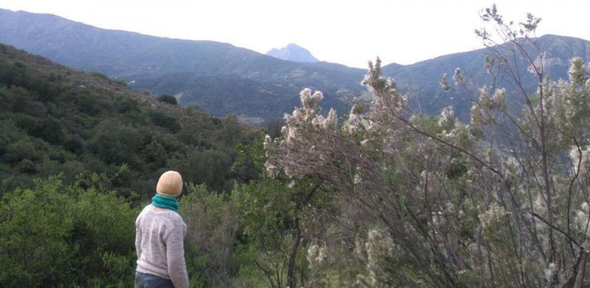  Land in Valparaiso, Chile No. 1030