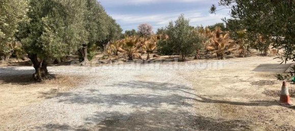 4 bedrooms House in Baza, Spain No. 10159 25