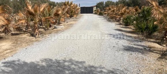 4 bedrooms House in Baza, Spain No. 10159 26