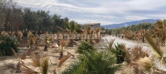 4 bedrooms House in Baza, Spain No. 10159 22