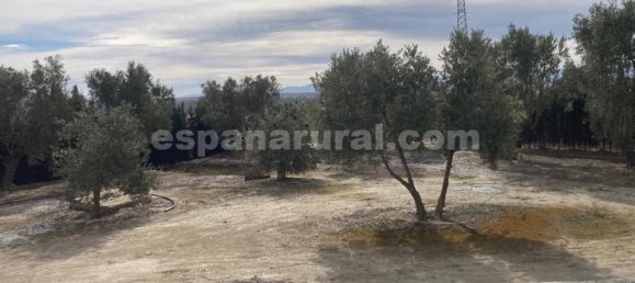 4 bedrooms House in Baza, Spain No. 10159 24