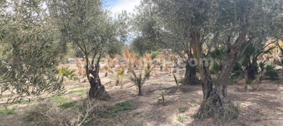 4 bedrooms House in Baza, Spain No. 10159 23