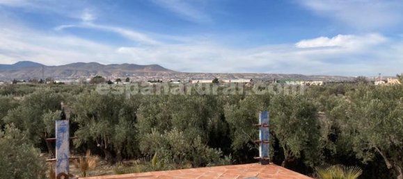 4 bedrooms House in Baza, Spain No. 10159 11